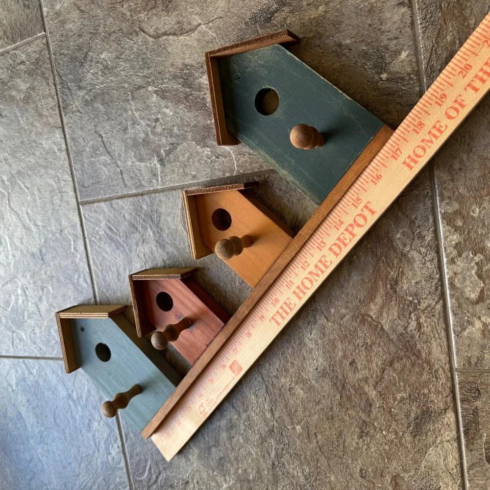 Rustic Farmhouse Cottagecore Birdhouse Wall Hook Rack Multicolored Wood Decor